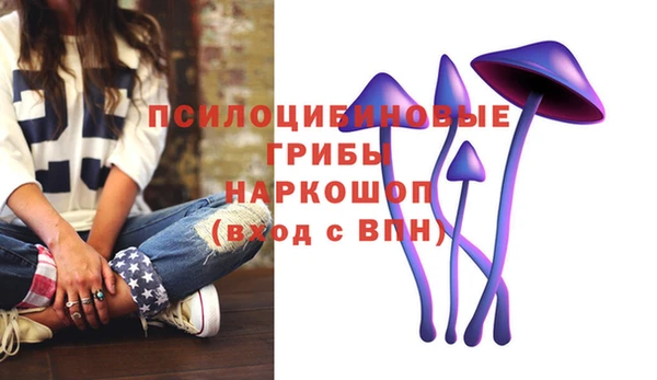 ECSTASY Елизово