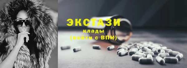 ECSTASY Елизово